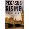 KNYGA Bookshop Pegasus Rising