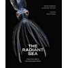 KNYGA Bookshop Radiant Sea
