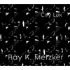 KNYGA Bookshop Ray K. Metzker: City Lux