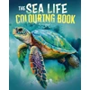 KNYGA Bookshop Sea Life Colouring Book