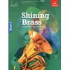 KNYGA Bookshop Shining Brass, Book 2