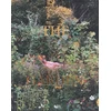 KNYGA Bookshop Sian Davey: The Garden