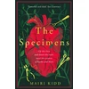 KNYGA Bookshop Specimens