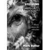 KNYGA Mark Butler Stepping from Thoughts