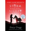 KNYGA Bookshop Storm and the Sidabrinis Bridle