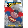 KNYGA Bookshop Superman by Kurt Busiek Book Two