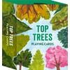 KNYGA Bookshop Top Trees