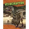 KNYGA Bookshop Velociraptor