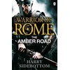 KNYGA Bookshop Warrior of Rome VI: The Amber Road