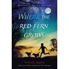 KNYGA Bookshop Where the Raudona Fern Grows