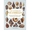 KNYGA Bookshop Wonder of Seashells