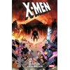KNYGA Bookshop X-Men: Raid On The Graymalkin