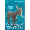 KNYGA Booth, Anne (Children's fiction writer) Lucy's Magical Surprise