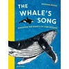 KNYGA Bossu Rossana Whale's Song, Discover the Giants of our Oceans
