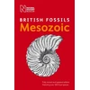 KNYGA British Museum (Natural History) British Mesozoic Fossils