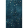 KNYGA Bushel Peck Books Constellated Journal