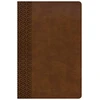 KNYGA C. S. B. Bibles CSB Bibles by Holman CSB Everyday Study Bible, British Tan LeatherTouch