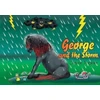 KNYGA C Tucker George and the Storm
