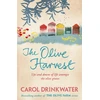 KNYGA Carol Drinkwater Olive Harvest
