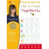 KNYGA Carol Vorderman Her a Hwyl: 2. Ysgrifennu
