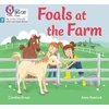 KNYGA Caroline Green Foals at the Farm, Phase 3 Set 1 Blending Practice