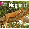 KNYGA Caroline Green Nap in it