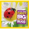 KNYGA Catherine D Hughes Little Kids First Big Book of Bugs