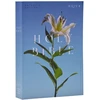 KNYGA Catholic Bible Press NRSV Catholic Edition Bible, Easter Lily Paperback (Global Cover Series)