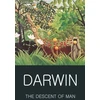 KNYGA Charles Darwin Descent of Man