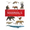 KNYGA Charles Francis Field Guide to the Mammals of South-east Asia (2nd Edition)