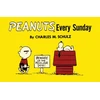 KNYGA Charles M Schulz Peanuts Every Sunday