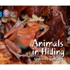 KNYGA Charlotte Guillain Animals in Hiding