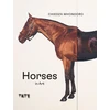 KNYGA Chiedza Mhondoro Horses in Art