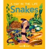 KNYGA Christian Cave Snakes (A Day in the Life), What Do Cobras, Pythons, and Anacondas Get Up to All Day?