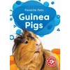 KNYGA Christina Leaf Guinea Pigs