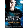 KNYGA Christine Feehan Dark Storm