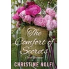 KNYGA Christine Nolfi Comfort of Secrets