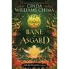 KNYGA Cinda Williams Chima Runestone Saga: Bane of Asgard