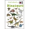 KNYGA Claire Hawcock Mad About Dinosaurs