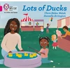 KNYGA Clare Helen Welsh Lots of Ducks