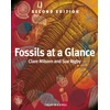 KNYGA Clare Milsom Fossils at a Glance