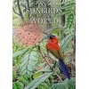 KNYGA Clive F Mann Sunbirds of the World, Sunbirds, Flowerpeckers, Spiderhunters and Sugarbirds, Second Edition