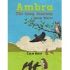KNYGA Colin Hirst Ambra: The Long Journey
