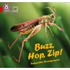 KNYGA Collins Big Cat Buzz, Hop, Zip!