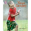 KNYGA Collins Educational Staff Your Senses