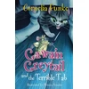 KNYGA Cornelia Funke Gawain Greytail and the Terrible Tab