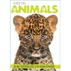 KNYGA Courtney Acampora Eyes On Animals