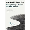 KNYGA Cynan Jones Everything I Found on the Beach