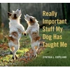 KNYGA Cynthia L Copeland Really Important Stuff My Dog Has Taught Me