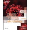KNYGA Dave Wessner Microbiology, International Adaptation